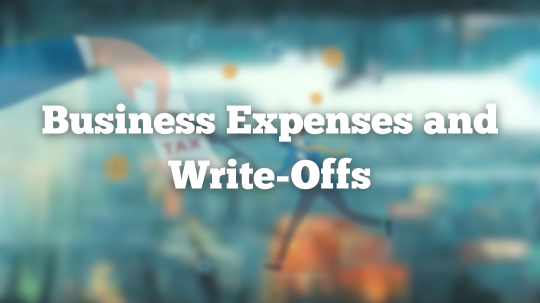 Business Expenses and Write-Offs