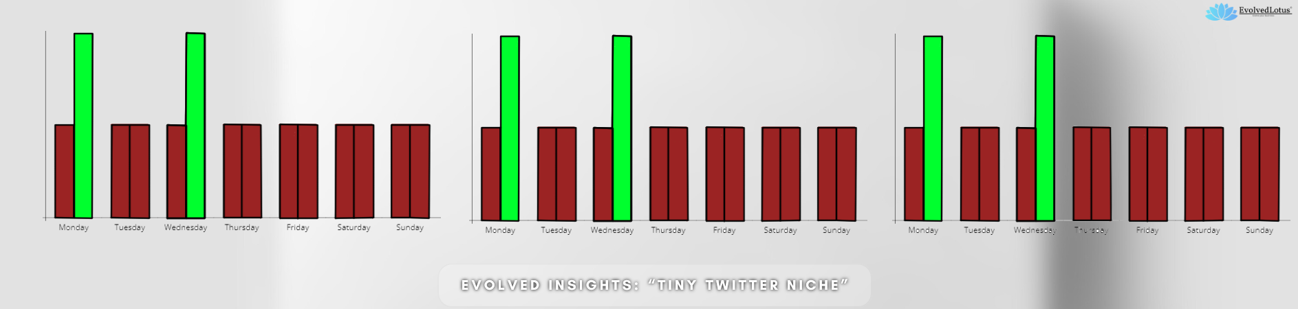 Evolved Insights: Tiny Twitter Niche