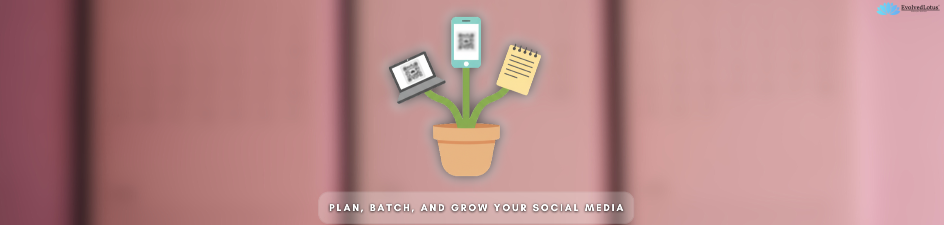 Plan, Batch, and Grow Your Social Media
